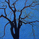 Starry Night with Elm