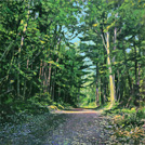 Five Streams State Forest